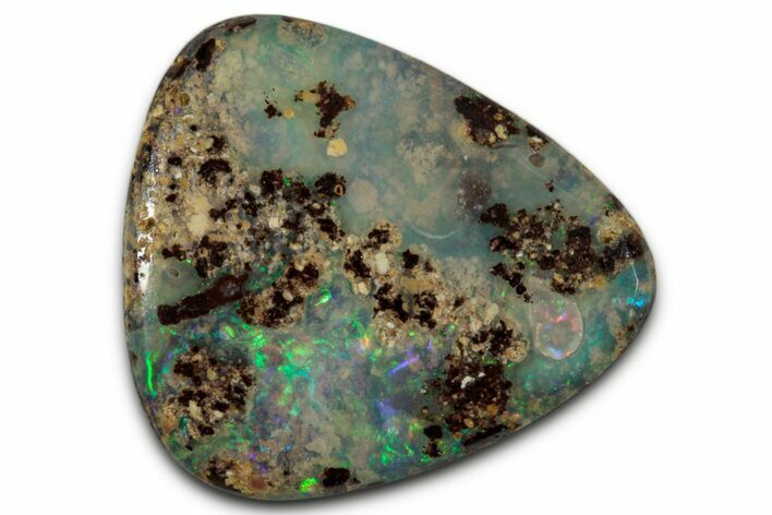 Colorful Polished Boulder Opal Specimen - Queensland, Australia #351830